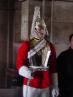 Horse Guards