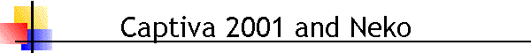 Captiva 2001 and Neko