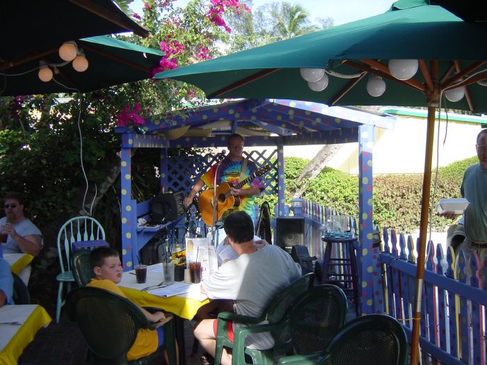 RC Otters - Live gitar player