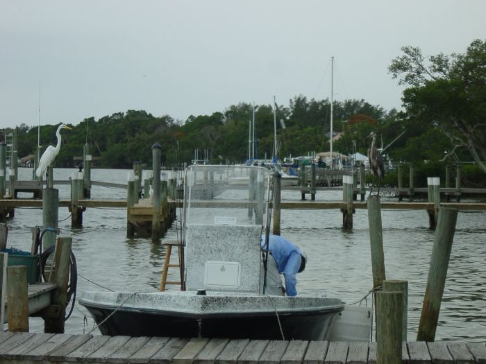 Great Egret and Great Blue Heron at Green Flash