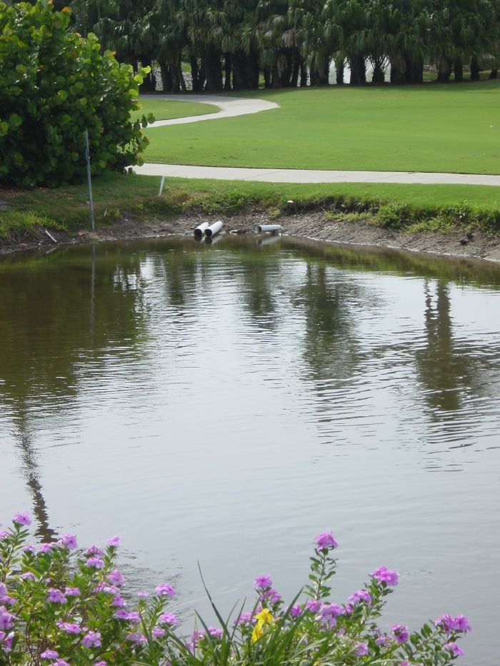 View of Third Fairway from Shoe print pool