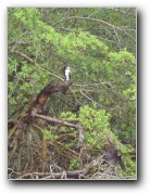 [Click to enlarge image]