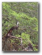 [Click to enlarge image]