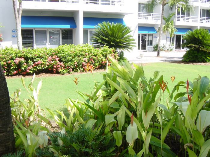 Flowers by Captain Al's