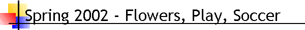 Spring 2002 - Flowers, Play, Soccer