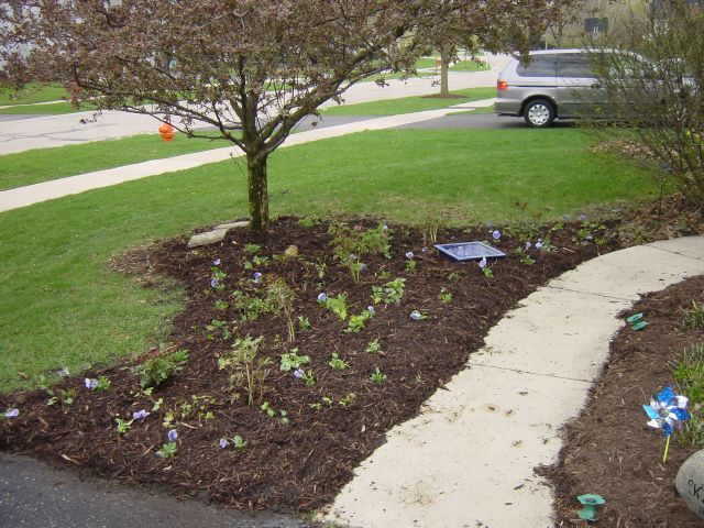 Garden for Jack's 45th by Cathie