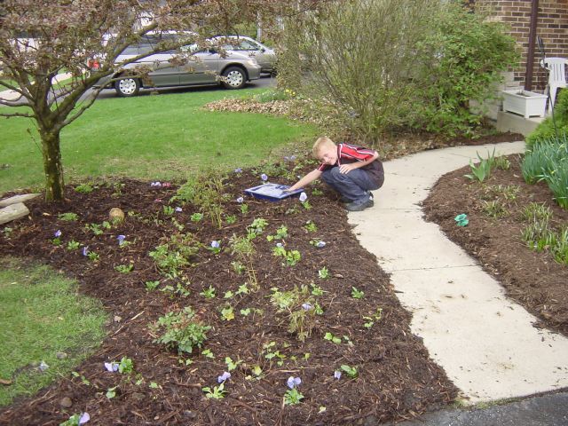 Garden for Jack's 45th by Cathie