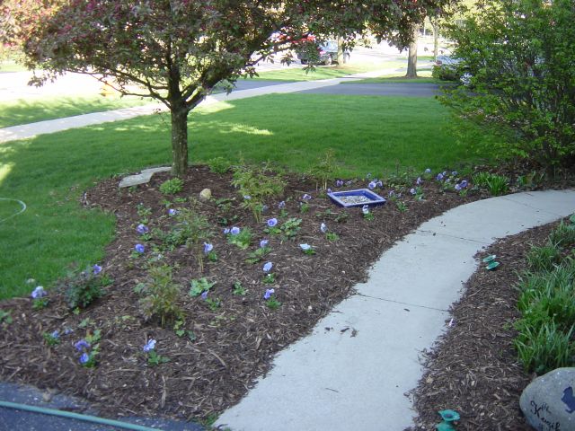 New Garden -- Jack's 45th BDay!