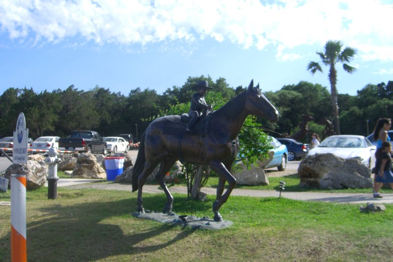 CIMG7831.JPG - The Oasis