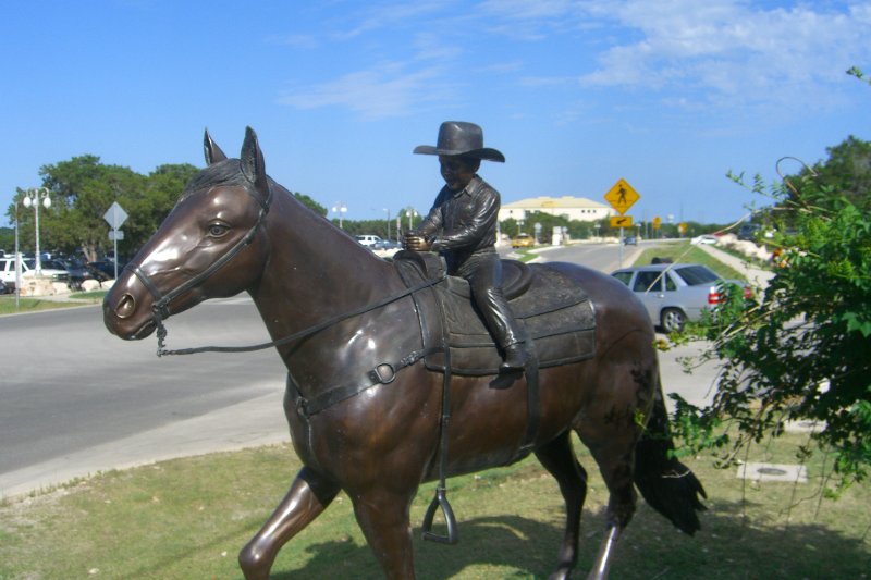 CIMG7832.JPG - The Oasis