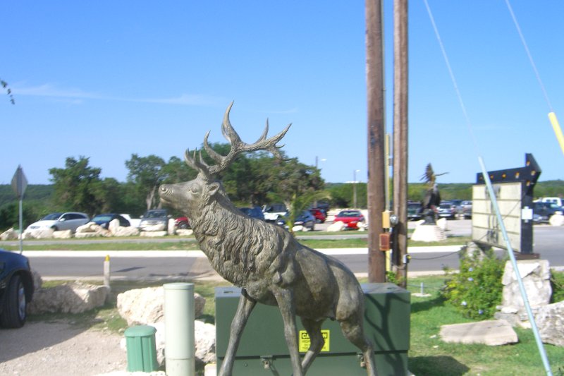 CIMG7834.JPG - The Oasis