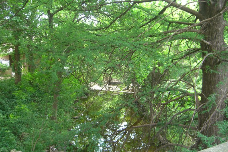 CIMG8114.JPG - creek just off of East Mall