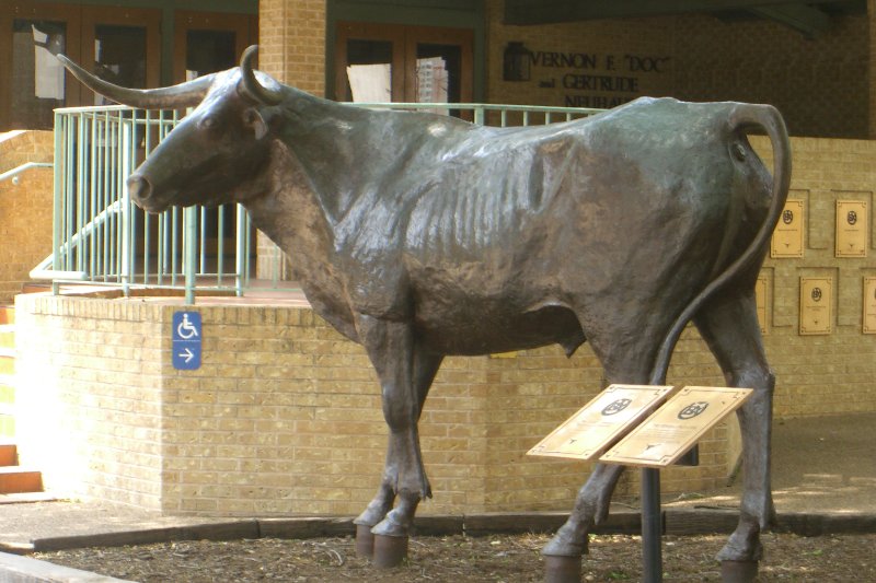 CIMG8117.JPG - UT Texas Alumni Center