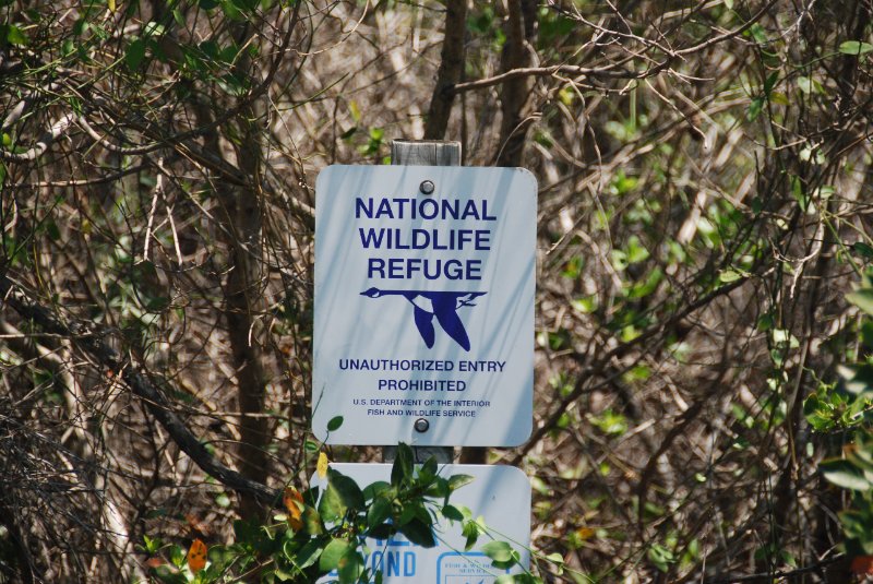 DSC_0063-1.JPG - Ding Darling National Wildlife Refuge