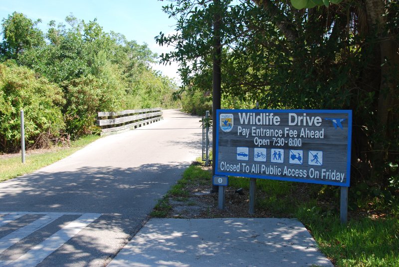 DSC_0245.JPG - Bike Ride Through Ding Darling
