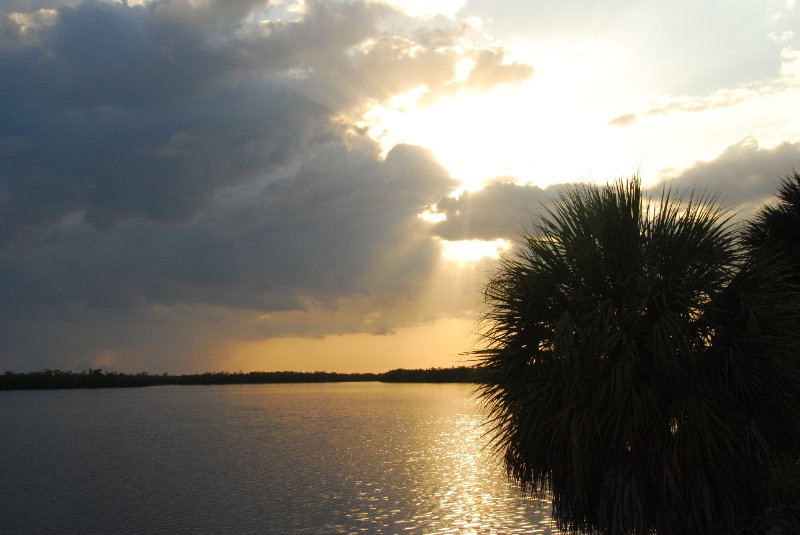 DSC_0692.JPG - Ding Darling