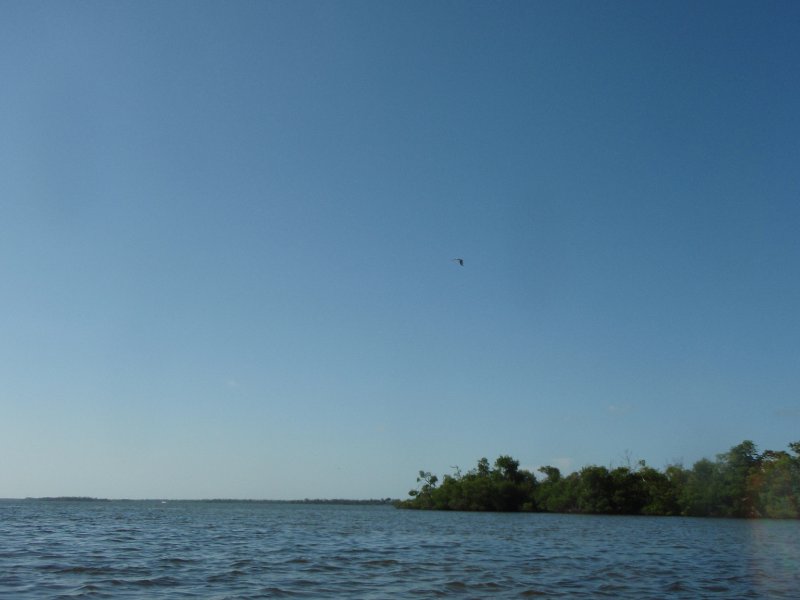 P6070424.JPG - Kayaking around Buck Key, near Blind Pass