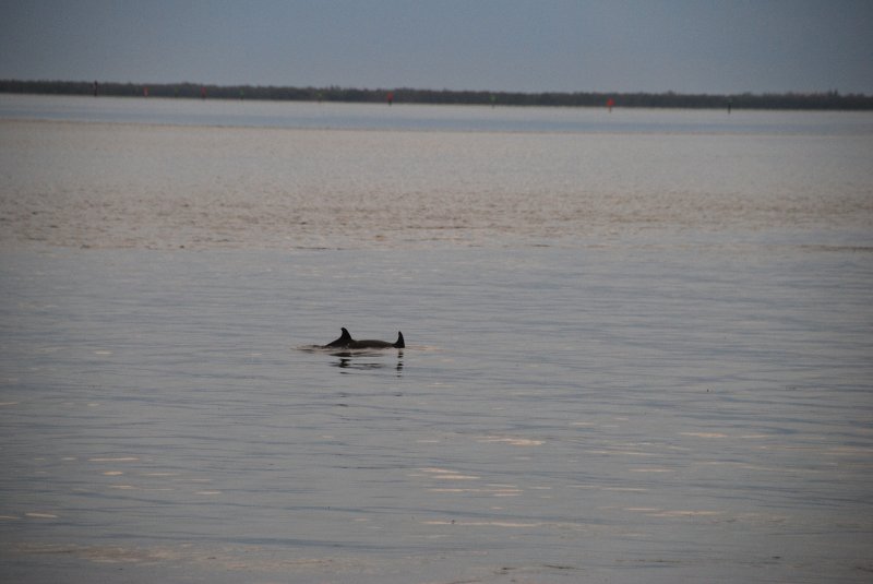 DSC_0301.JPG - Redfish Pass