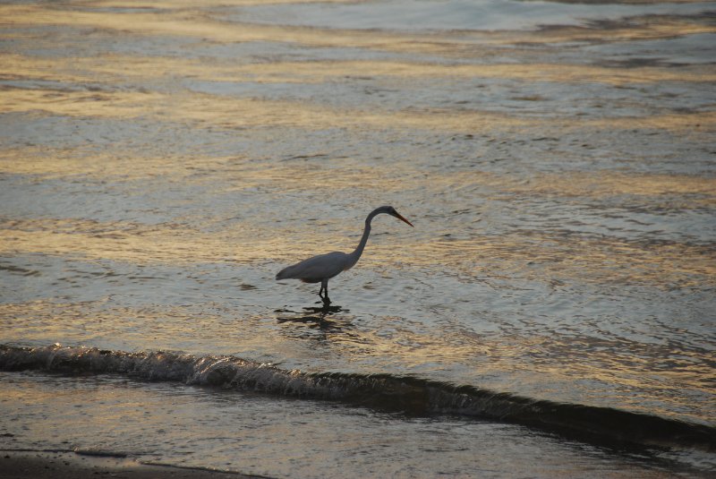 DSC_0308.JPG - Redfish Pass
