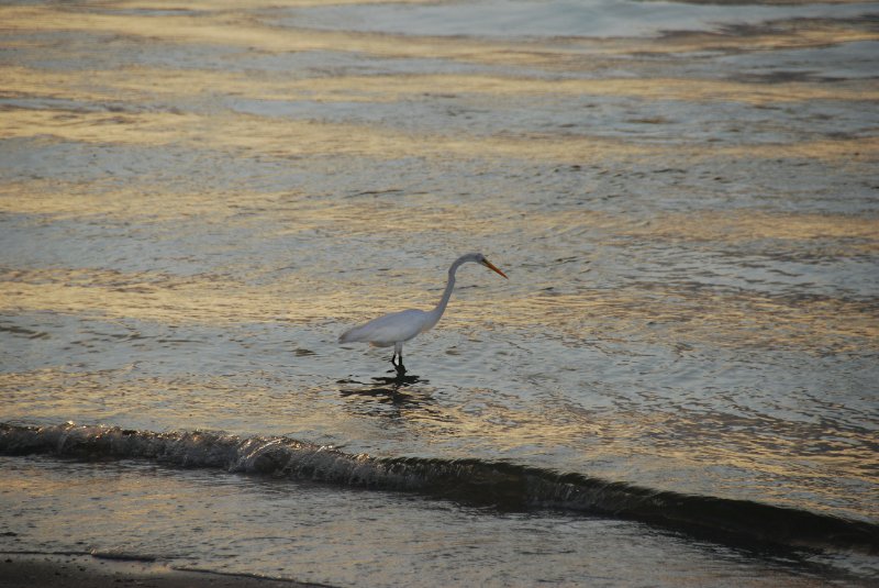 DSC_0308_edited-1.jpg - Redfish Pass