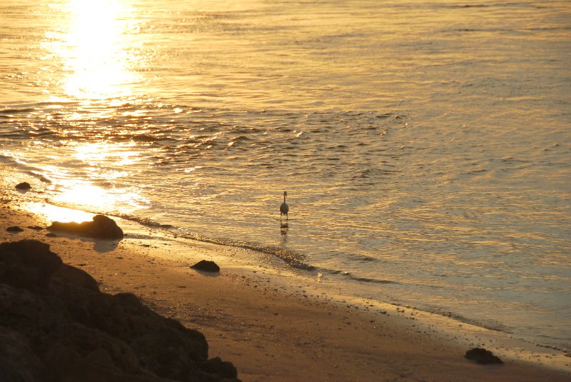 DSC_0317.JPG - Redfish Pass