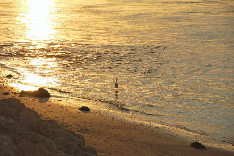 DSC_0317_edited-1.jpg - Redfish Pass