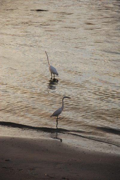 DSC_0322.JPG - Redfish Pass