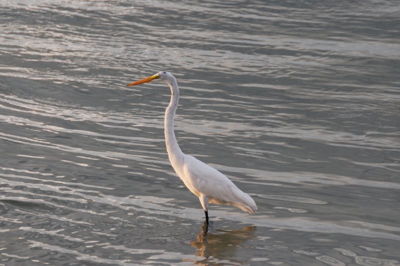 DSC_0325.JPG - Redfish Pass