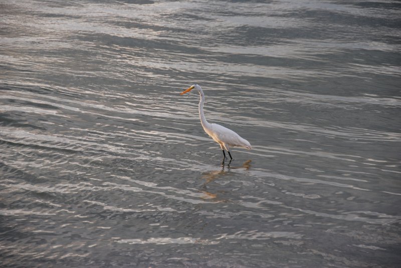 DSC_0326.JPG - Redfish Pass