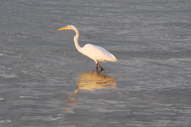 DSC_0331.JPG - Redfish Pass