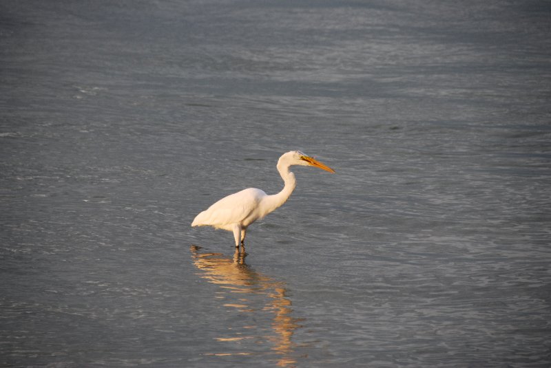 DSC_0338.JPG - Redfish Pass
