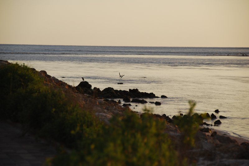 DSC_0347.JPG - Redfish Pass