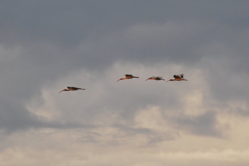 DSC_0360.JPG - Redfish Pass