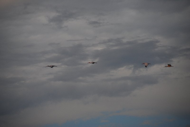 DSC_0362.JPG - Redfish Pass