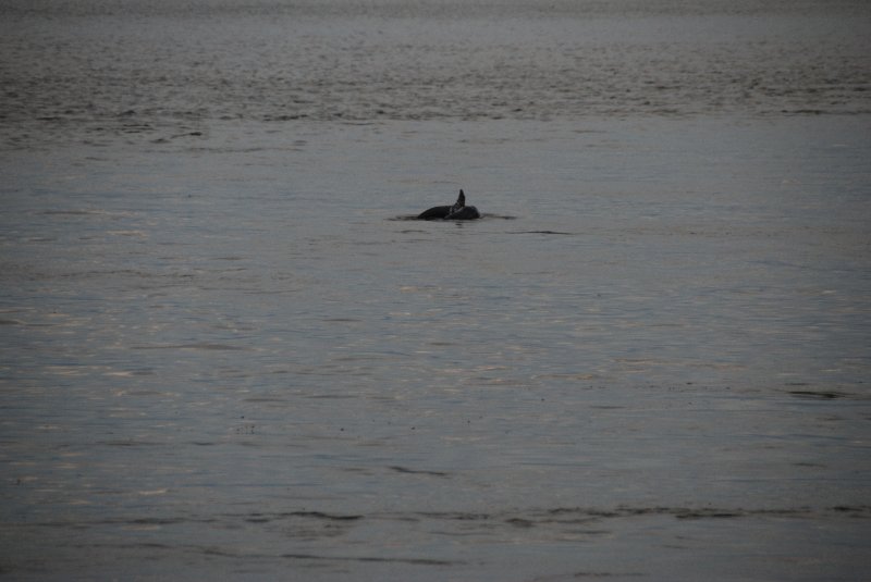 DSC_0363.JPG - Redfish Pass