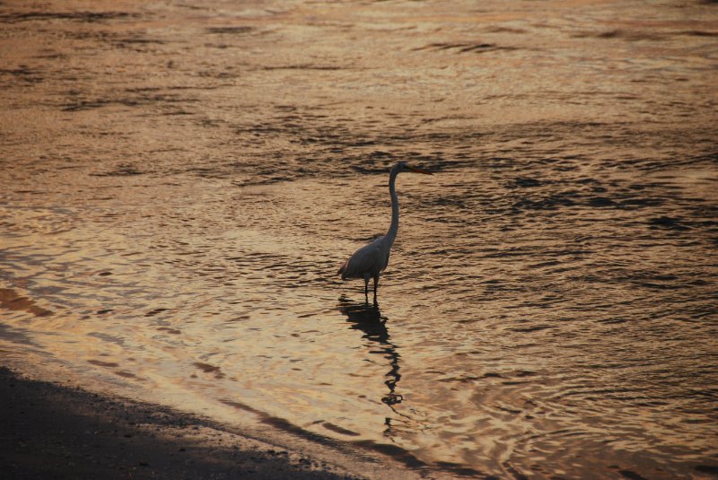 DSC_0364.JPG - Redfish Pass