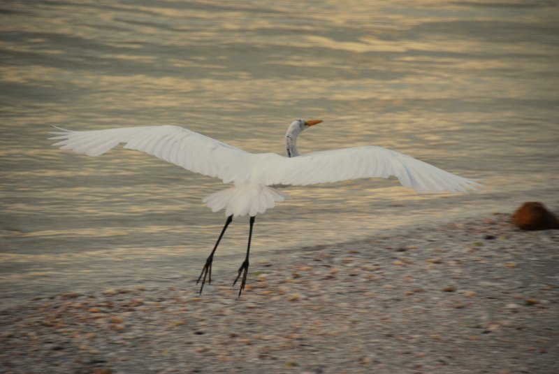 DSC_0368.JPG - Redfish Pass