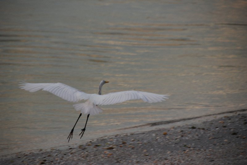 DSC_0369.JPG - Redfish Pass