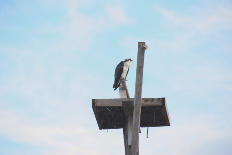 DSC_0397.JPG - Redfish Pass