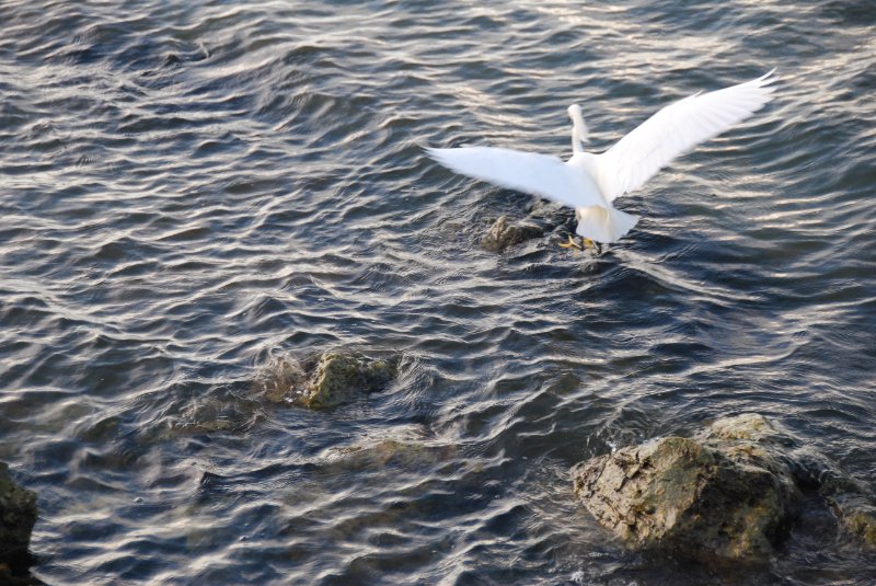 DSC_0413.JPG - Redfish Pass