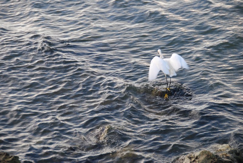 DSC_0414.JPG - Redfish Pass