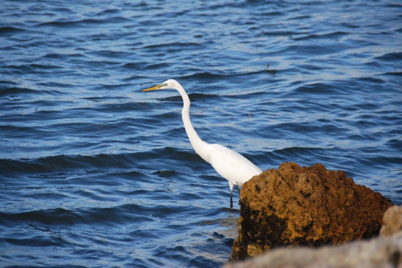 DSC_0419.JPG - Redfish Pass