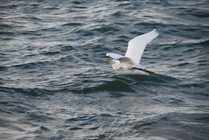 DSC_0422.JPG - Redfish Pass