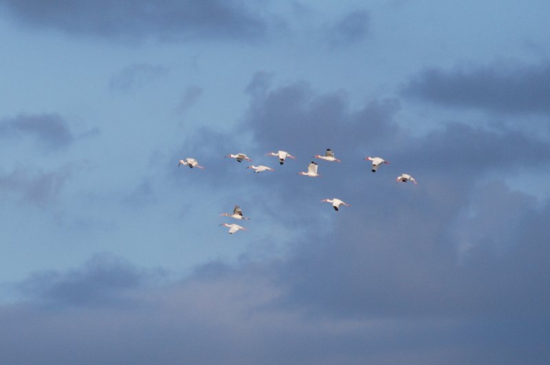 DSC_0471.JPG - Redfish Pass