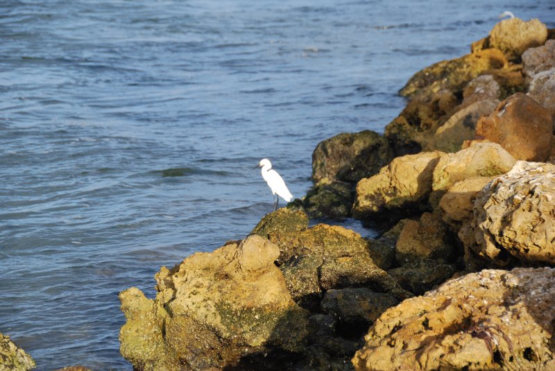 DSC_0478.JPG - Redfish Pass