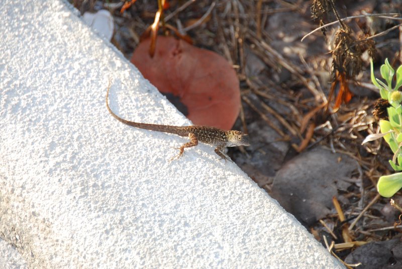 DSC_0480.JPG - Redfish Pass