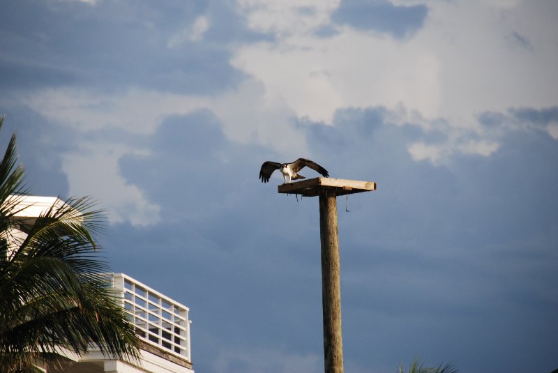 DSC_0498.JPG - Redfish Pass