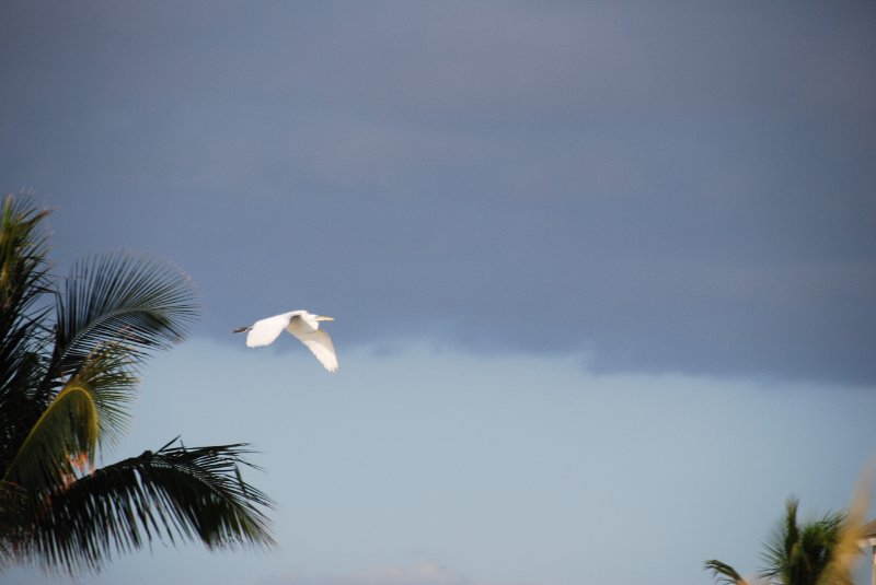 DSC_0505.JPG - Redfish Pass