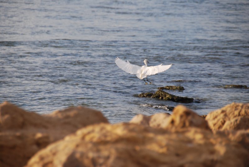 DSC_0516.JPG - Redfish Pass