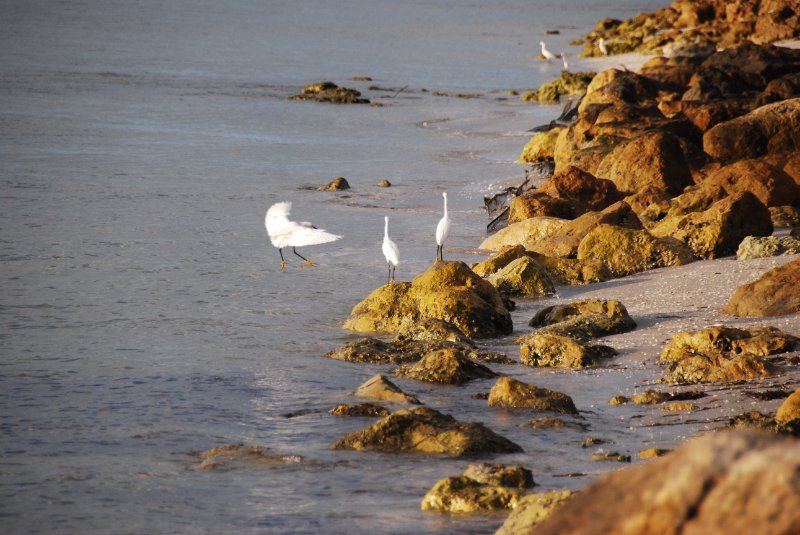 DSC_0538.JPG - Redfish Pass